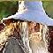 Gandalf the Wizard's Avatar