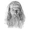 Gandalf-the-White's Avatar